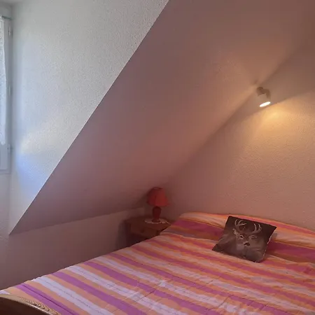شقة Duplex A Avec Parking Et Animaux Admis - Fr-1-812-118
